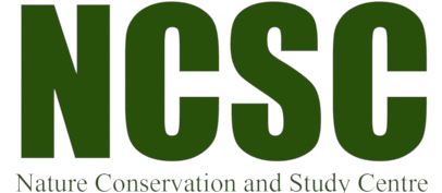 ncsc